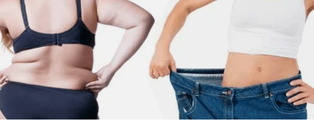 Os principios do menú da dieta amado
